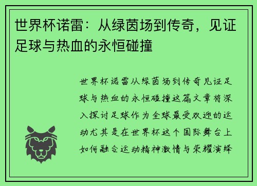 世界杯诺雷：从绿茵场到传奇，见证足球与热血的永恒碰撞